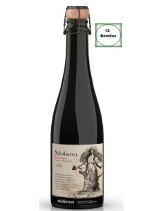 MOLSOSA Barrel Aged Fruited Wild Ale 12x37,5 - MilCervezas