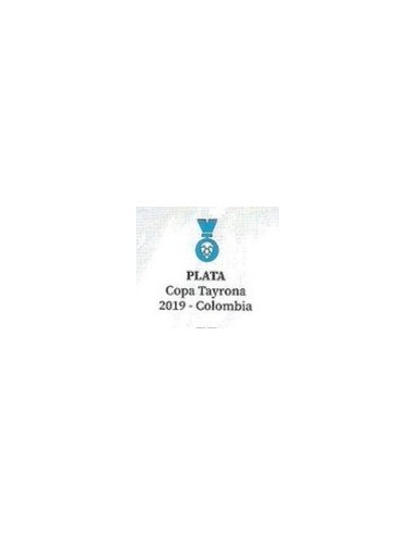 Cerveza Ogham APA 16 x 44