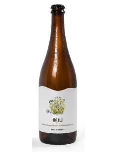 Nevel  Erve Wild Saison w Brettanomyces & Goldings 6x750 - MilCervezas